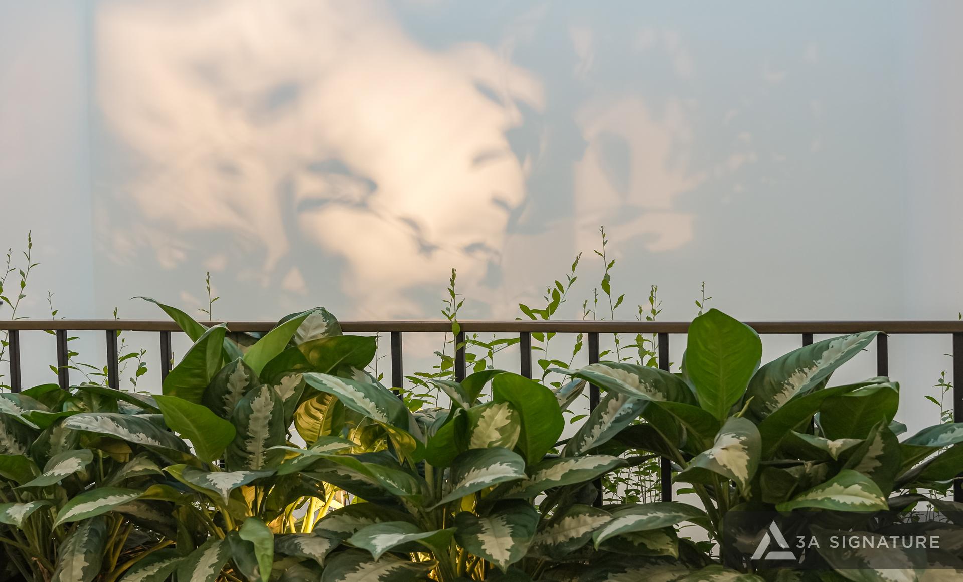 thiet ke thi cong biet thu hoan thien BD VILLA TDM mang phong cach-hien dai modern tropical