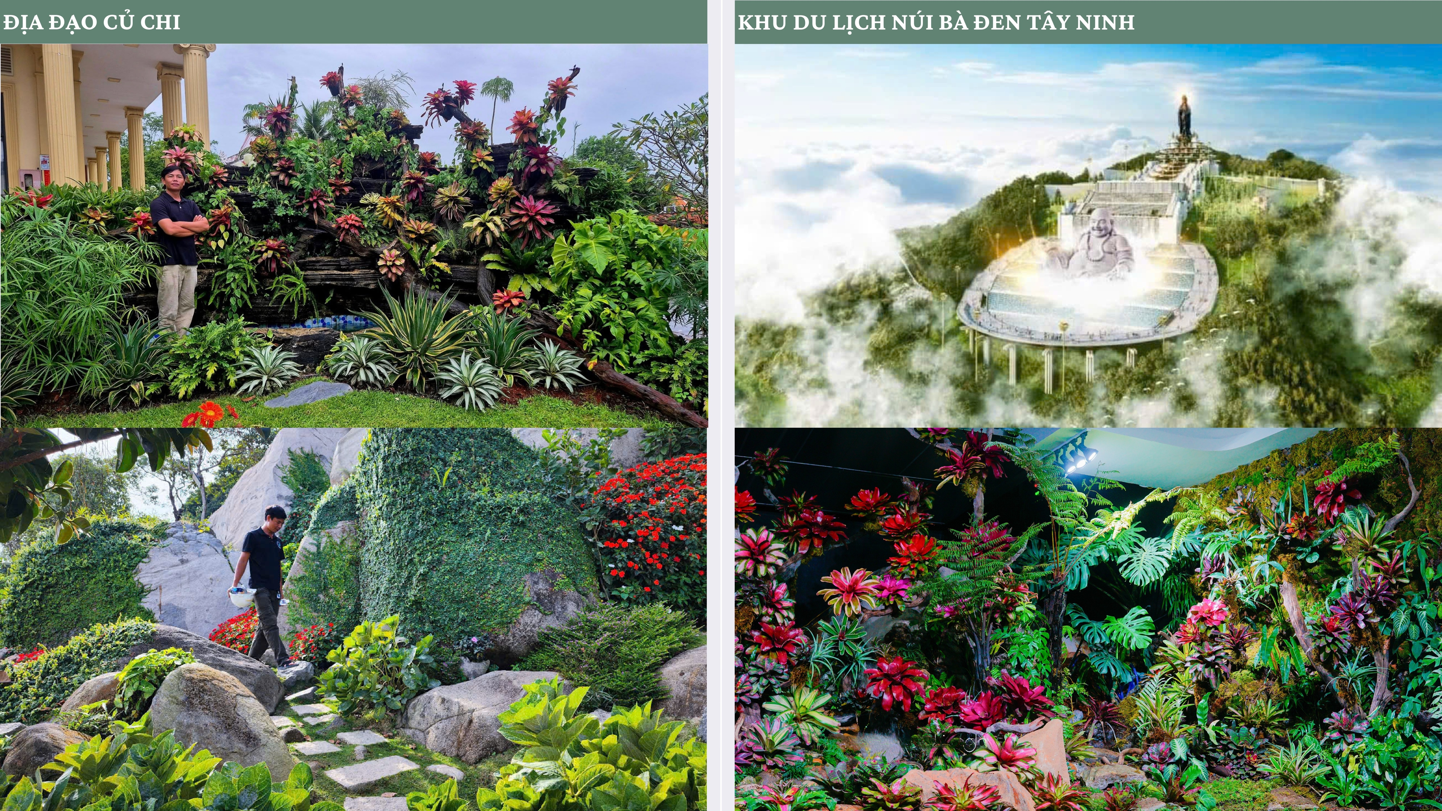 3A LANDSCAPE PORFOLIO page 0012