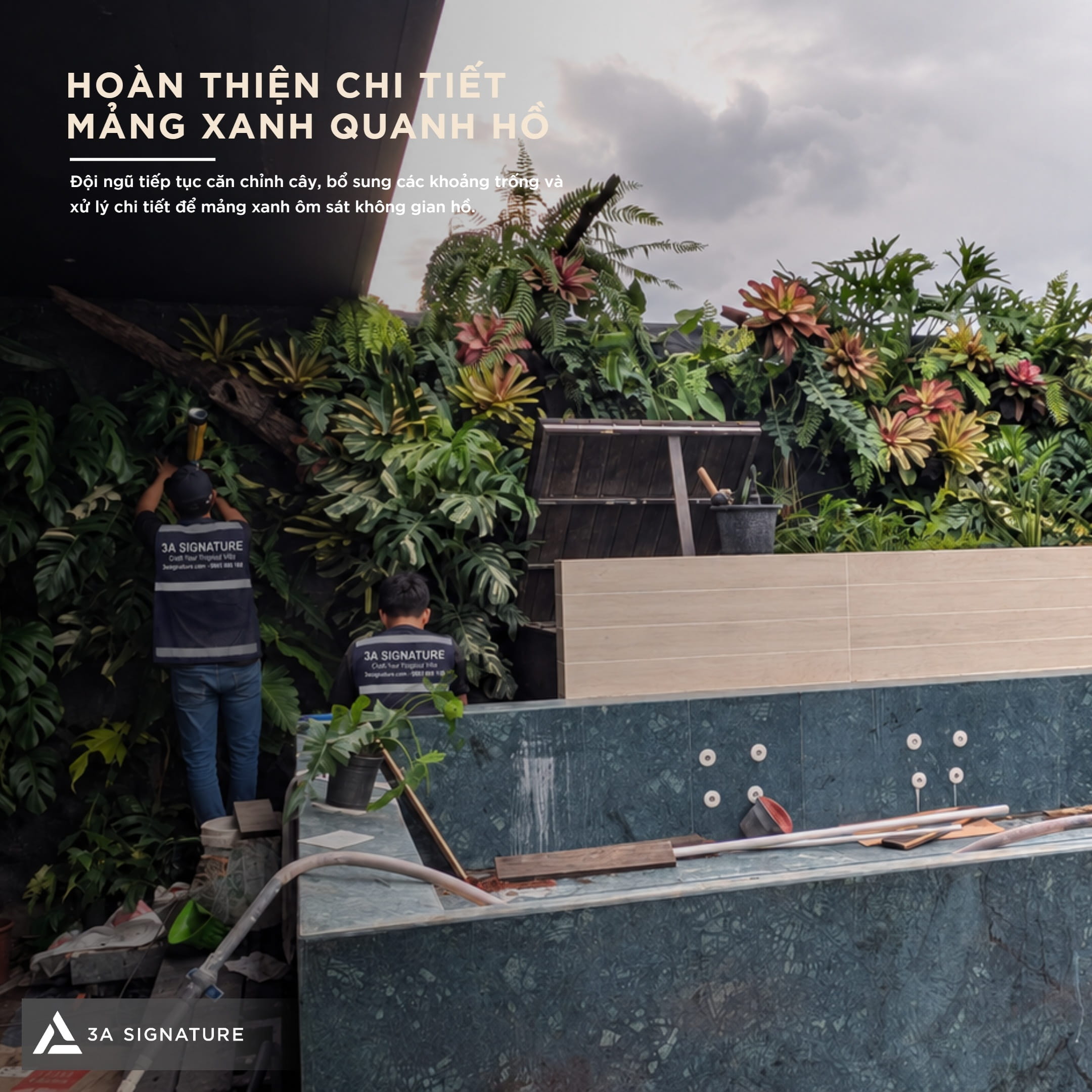 Hình ảnh thi công cảnh quan sân vườn Legacy Penthouse với công tác hoàn thiện mảng xanh quanh hồ, bổ sung cây theo từng lớp.