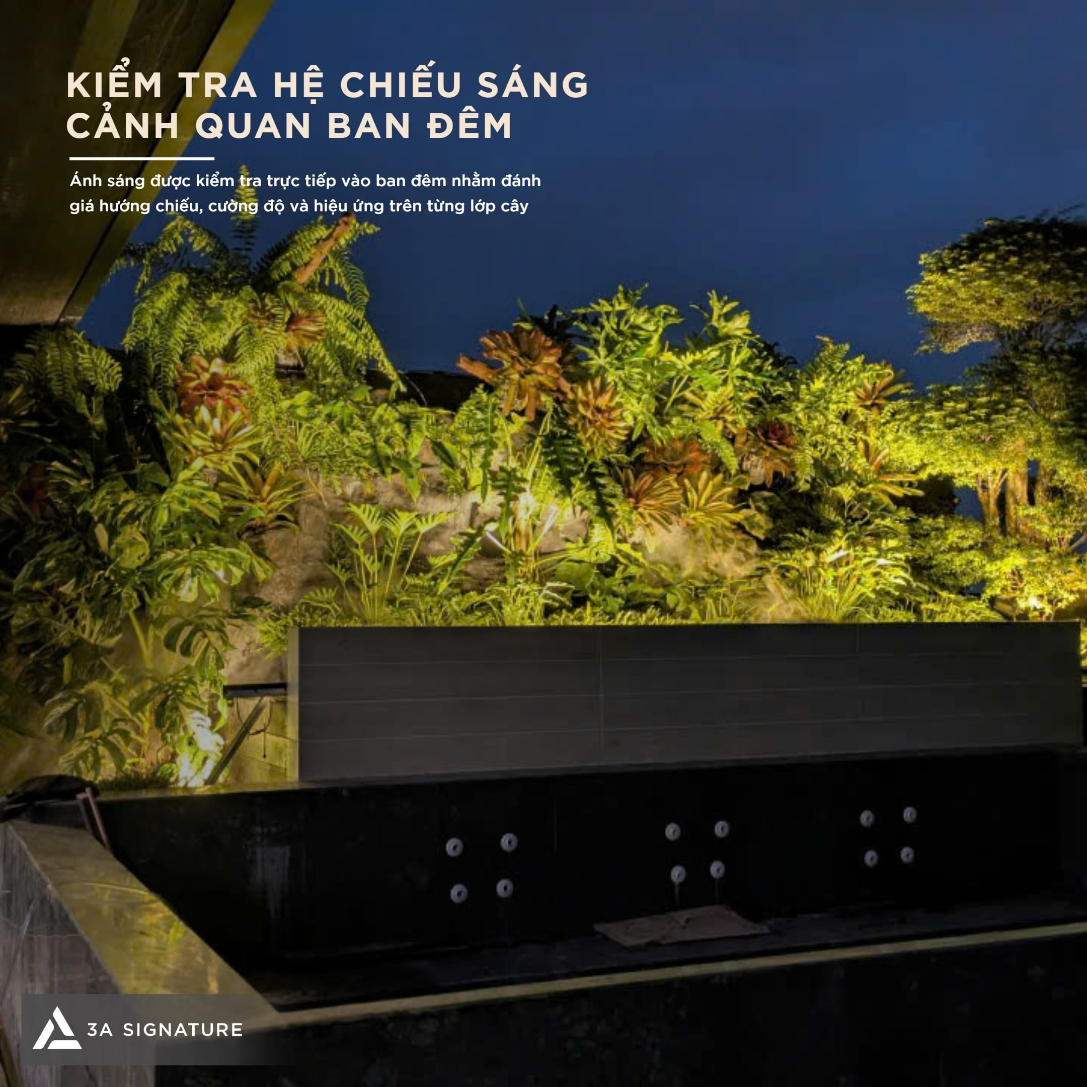Hình ảnh thi công cảnh quan sân vườn Legacy Penthouse với hệ chiếu sáng cảnh quan ban đêm, kiểm tra cường độ và hướng chiếu.