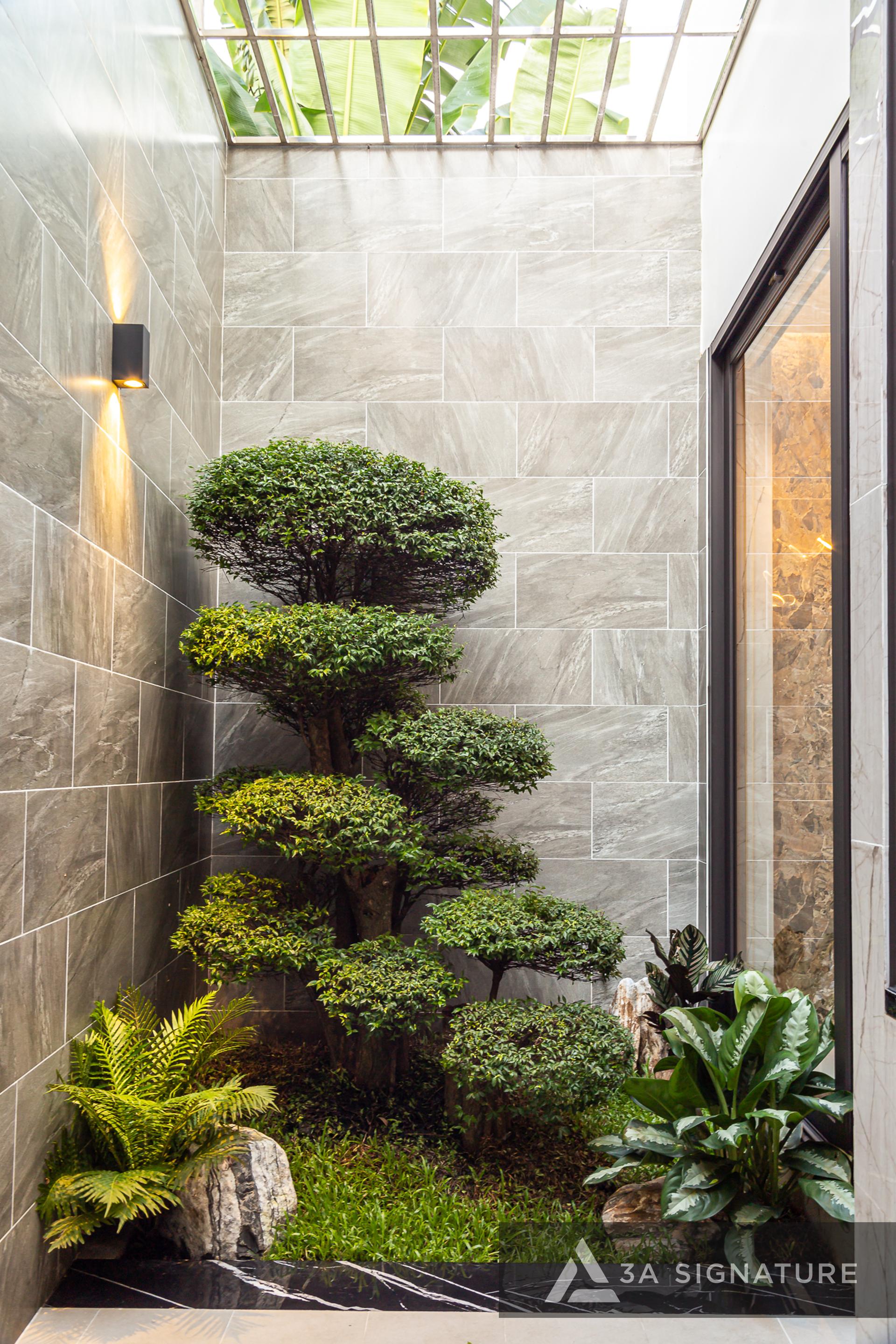 thiet ke thi cong biet thu hoan thien BD VILLA TDM mang phong cach-hien dai modern tropical