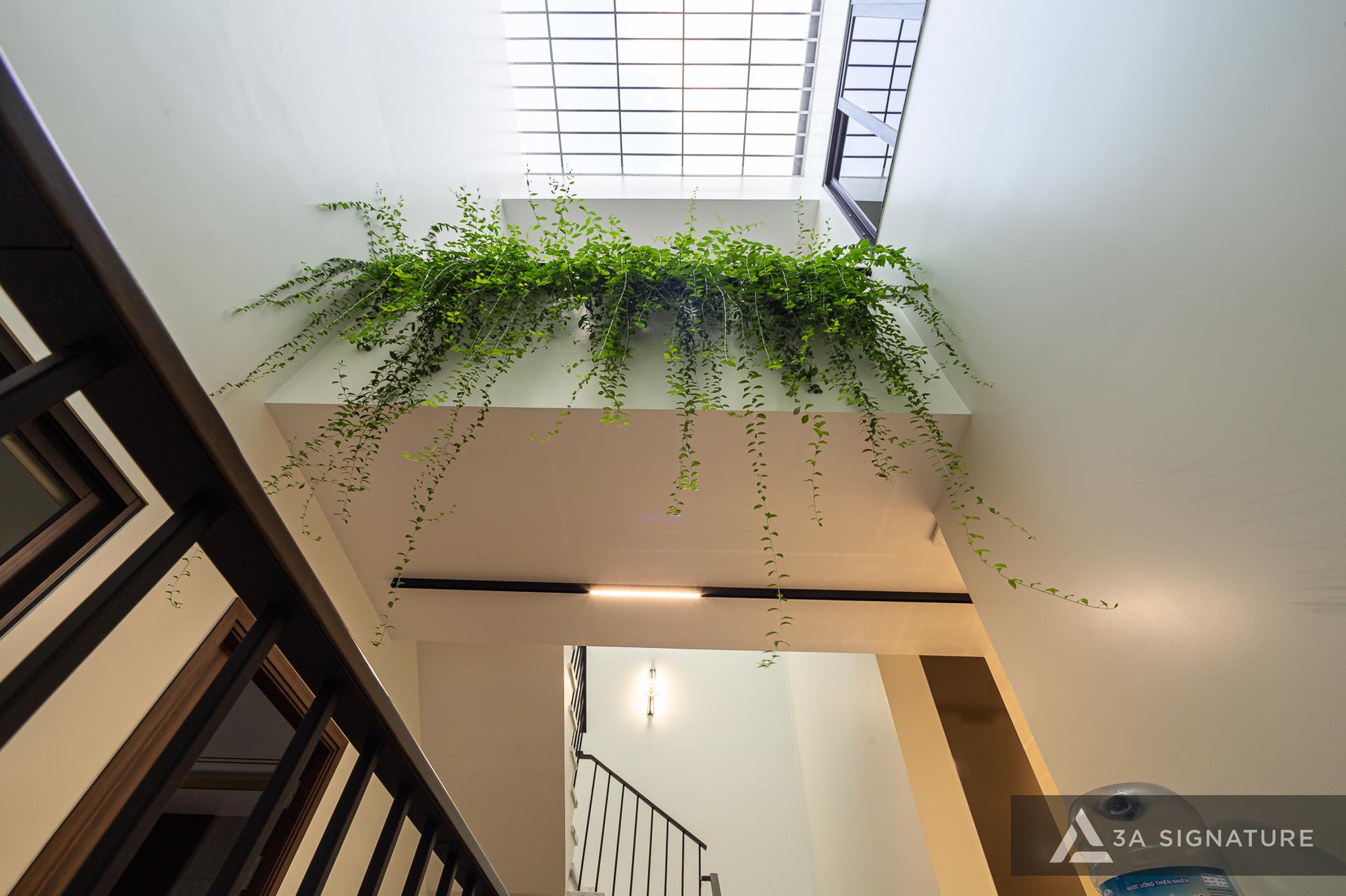 thiet ke thi cong biet thu hoan thien BD VILLA TDM mang phong cach-hien dai modern tropical