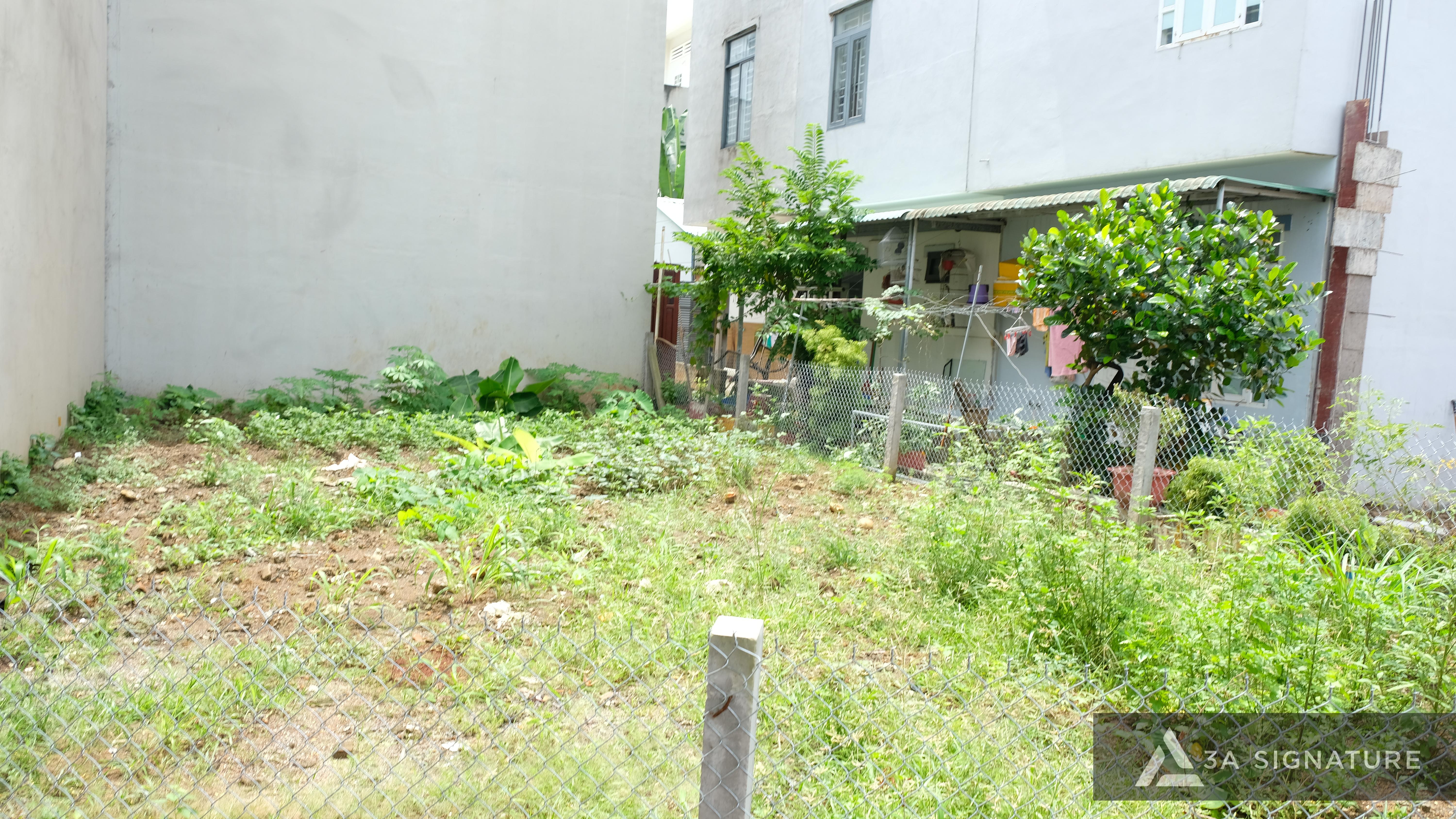 hien-trang-dia-hinh-khu-dat-trong-cao-do-bang-phang-nen-dat-on-dinh-thoat-nuoc-tot-co-cay-xanh-tu-phat-thuan-loi-thiet-ke-thi-cong