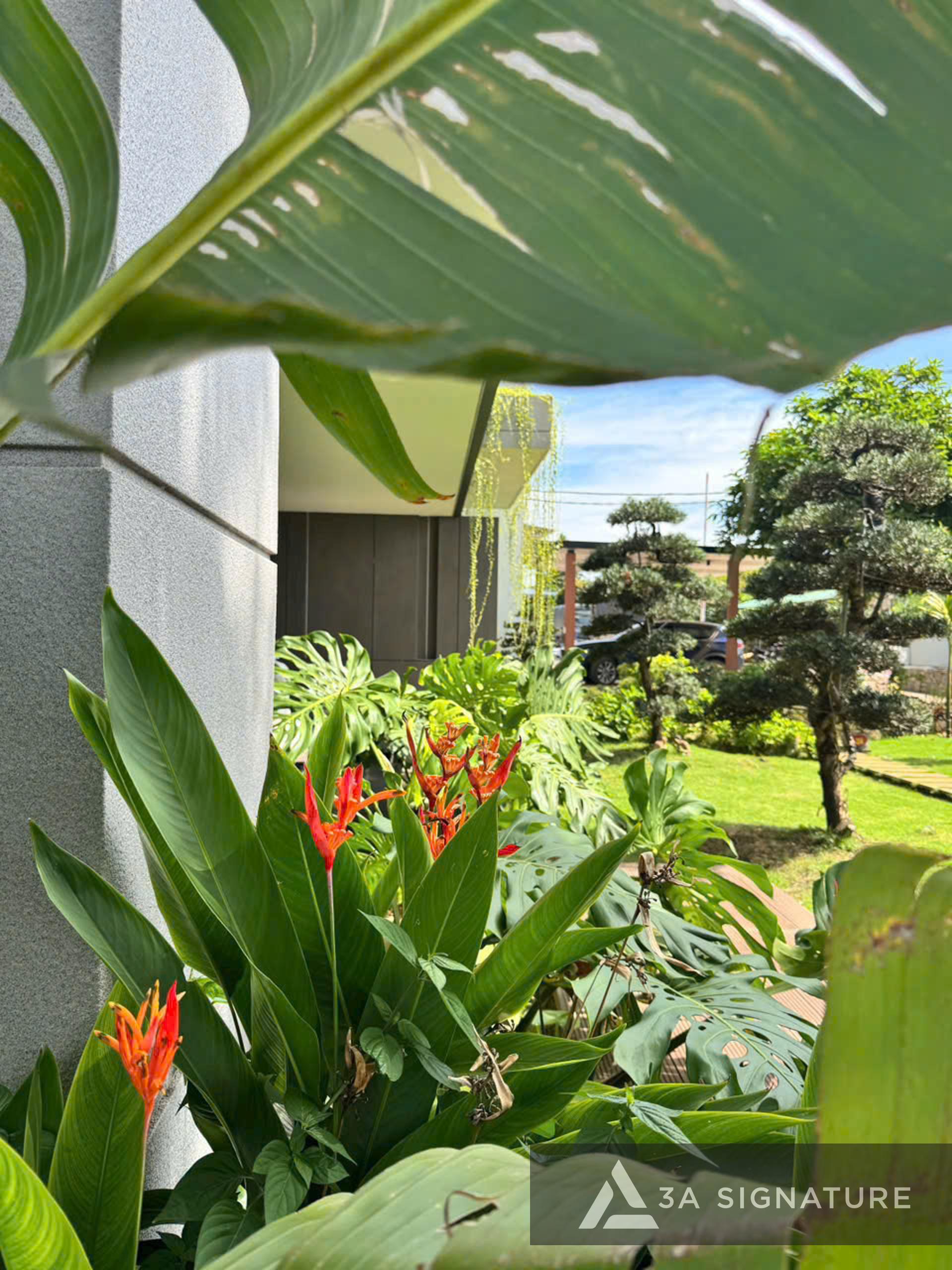 Thiet ke thi cong biet thu pho Green Villa nhiet doi hien dai - Binh Phuoc