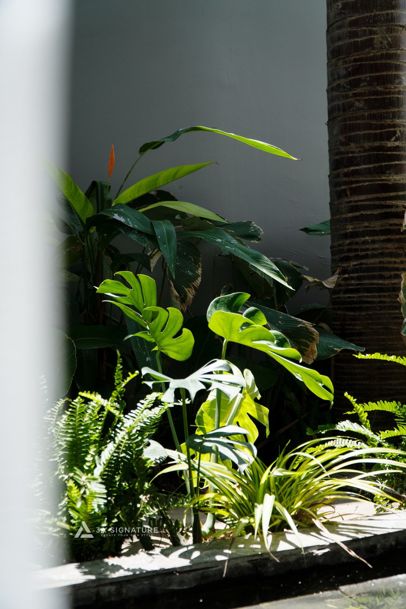 Thiet ke thi cong biet thu pho H-Villa Phu My Vung Tau - Tropical Modern