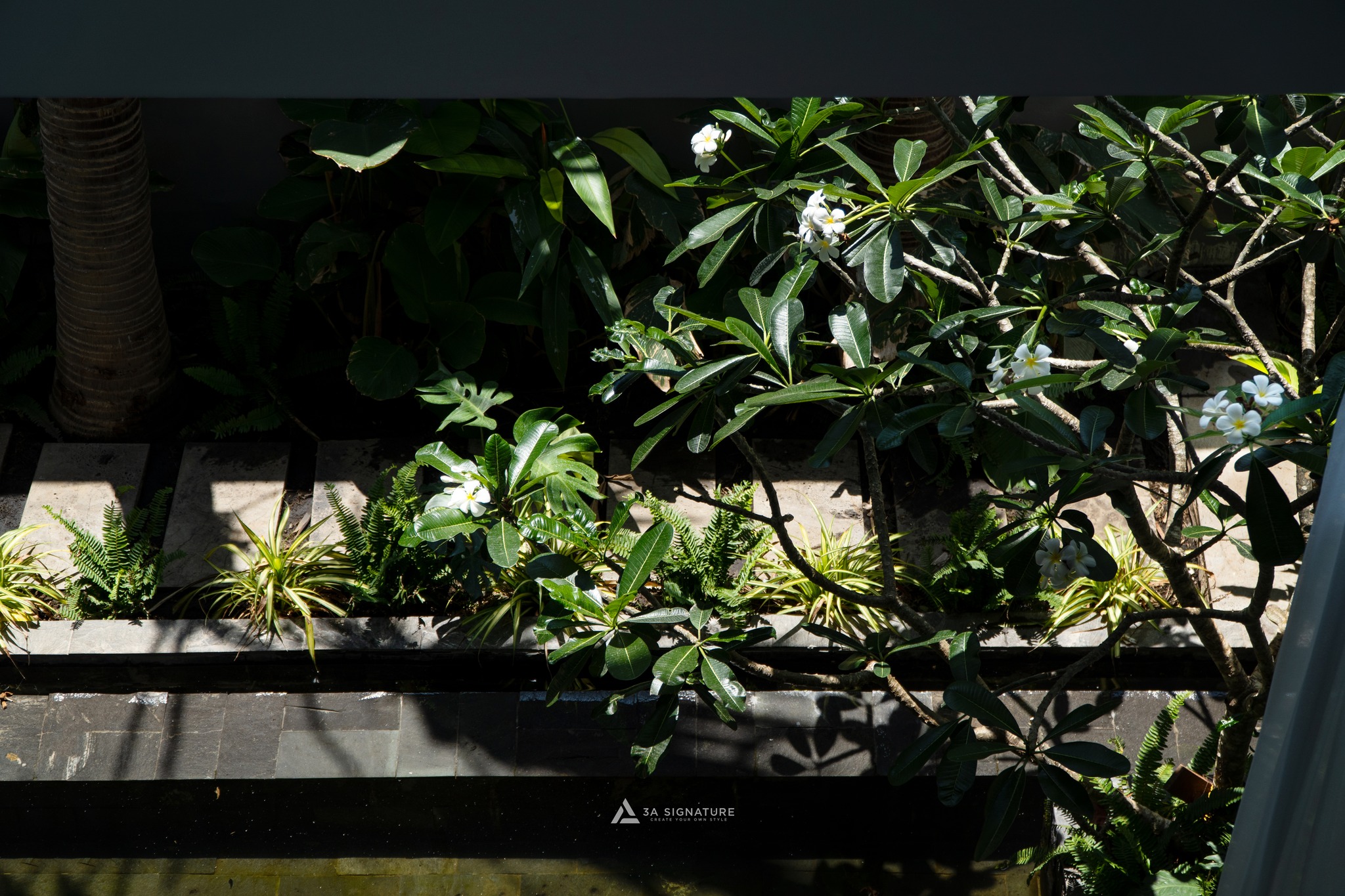 Thiet ke thi cong biet thu pho H-Villa Phu My Vung Tau - Tropical Modern