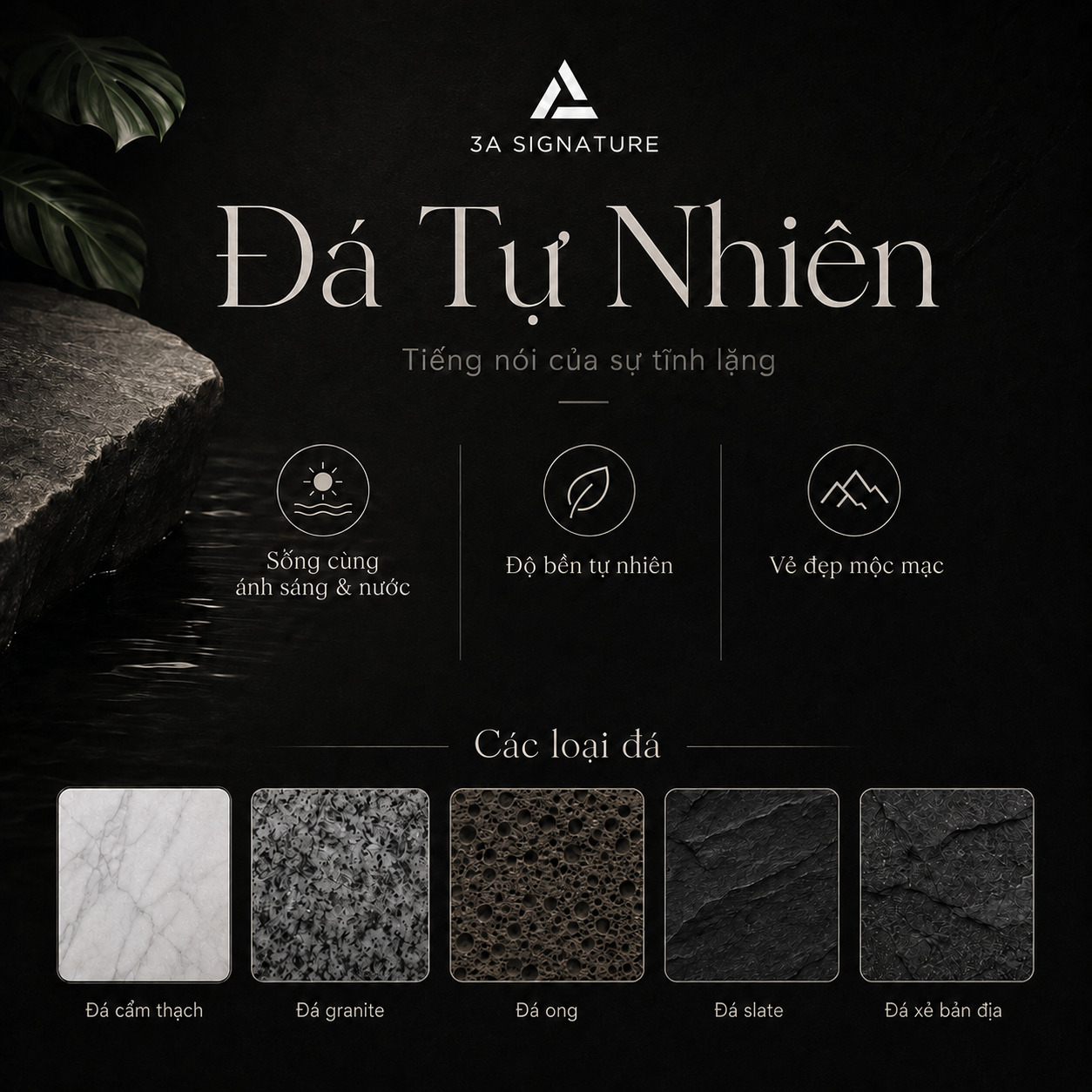 da tu nhien rs