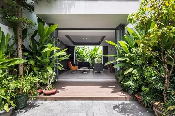 cay-chuoi-xanh-tot-truoc-nha-tan-la-lon-che-sang-duoc-xem-la-loai-cay-khong-nen-trong-truoc-nha-vi-lam-cham-dong-sinh-khi-va-gay-am-u