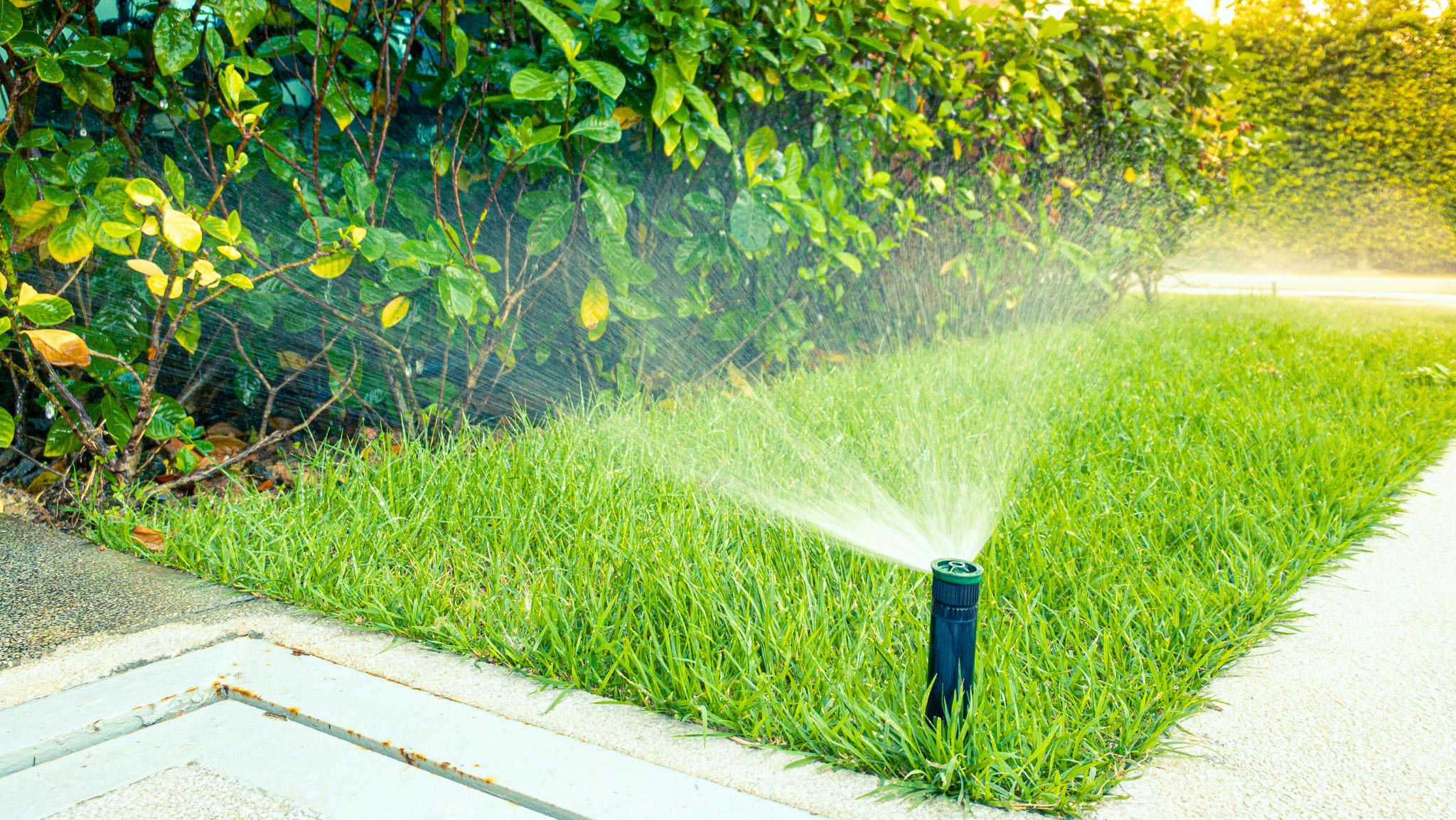 The Automatic Plant Watering system helps maintain the garden’s lush beauty while keeping pace with the modern, busy lifestyle.