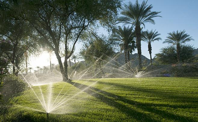 Automatic Plant Watering system with soil moisture sensors maintaining villa gardens green and healthy through efficient, eco-friendly, and timely irrigation.